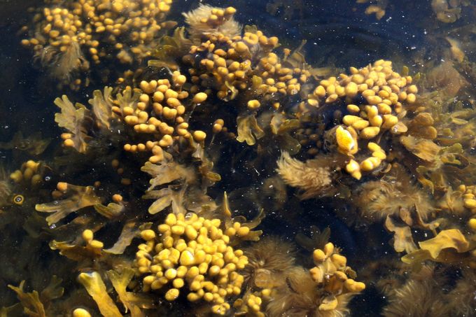 ae6bf40d-2bc0-463a-a59a-a0132ee9e8f0-main_image